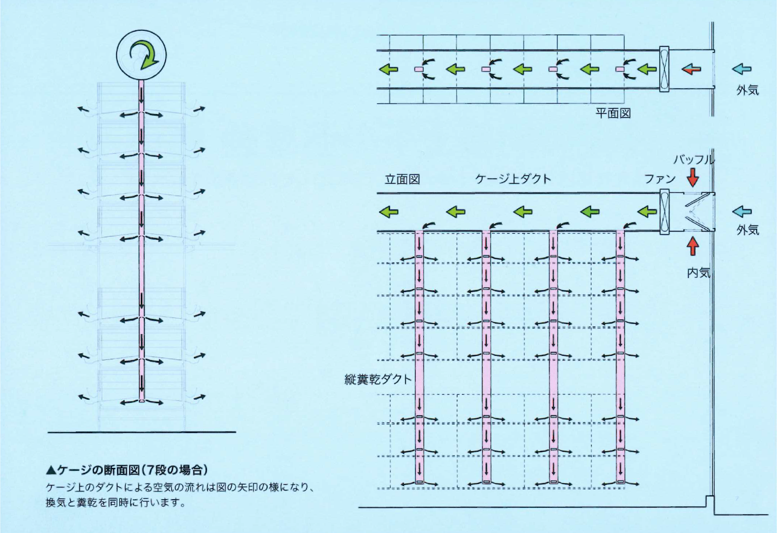 ヨシダエルシス