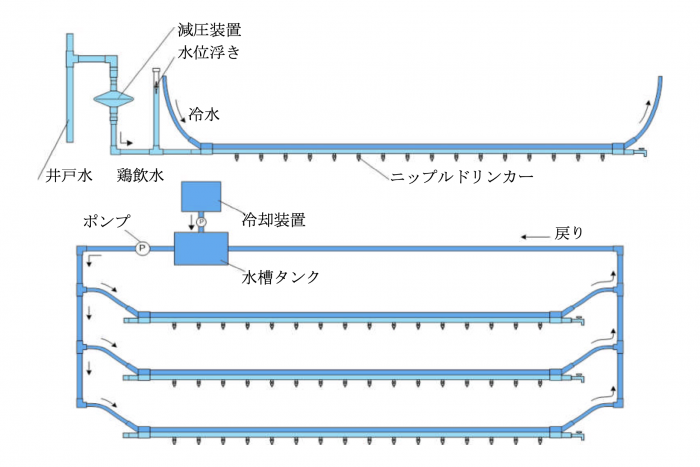 ヨシダエルシス